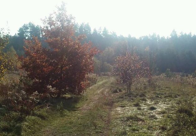 Nowy tydzień rozpocznie się słonecznie