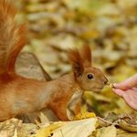 Kolejny tydzień października na półmetku