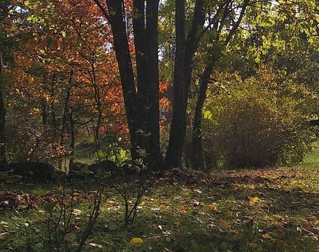 Pogoda na ostatni piątek października