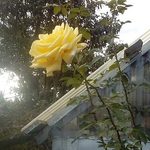 Temperatura spadnie. Czeka nas chłodny dzień i mroźna noc