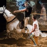 Spektakl "Don Kichot" w transmisji internetowej