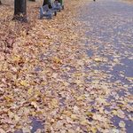 Pogoda na poniedziałek. Niskie ciśnienie i przelotne opady deszczu
