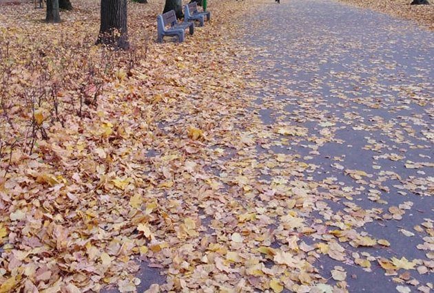 Pogoda na poniedziałek. Niskie ciśnienie i przelotne opady deszczu