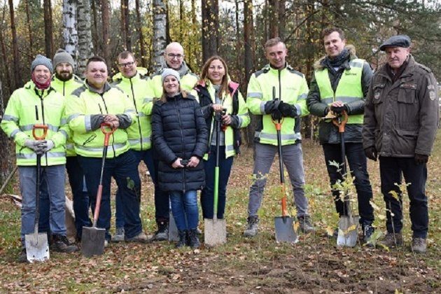 Zazwyczaj budują, tym razem sadzili drzewa