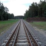 Polskie i litewskie linie kolejowe będą współpracować przy Rail Baltice