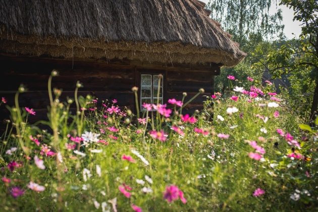 Drewniane domy Podlasia i ich mieszkańcy. Promocja albumu