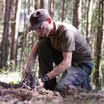 Lasy Państwowe ułatwiają dostęp do "włóczenia się po dziczy"