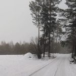 Pogoda na 4 grudnia. Spodziewane są przelotne opady deszczu ze śniegiem