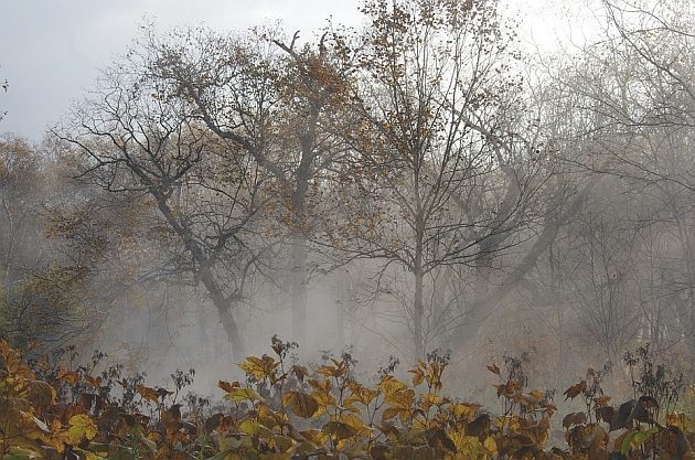 Pogoda na poniedziałek. Pojawią się przejaśnienia