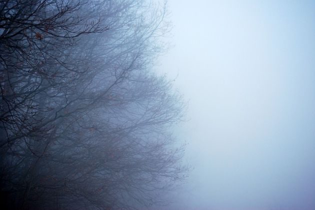 Gęsta mgła spowiła Podlasie