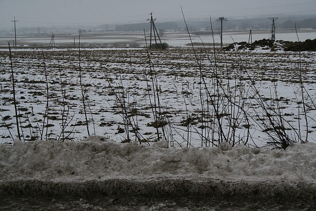 Pogoda na pierwszy długi styczniowy weekend