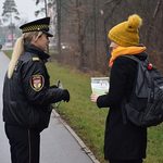 Dzikie zwierzęta w mieście. Jak się zachować, gdy na drodze spotkamy jedno z nich?