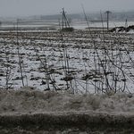 Temperatura spadnie poniżej zera