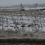 Temperatura spadnie poniżej zera