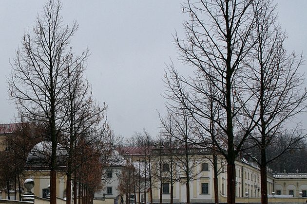 Tydzień na półmetku. Spodziewane są przelotne opady deszczu