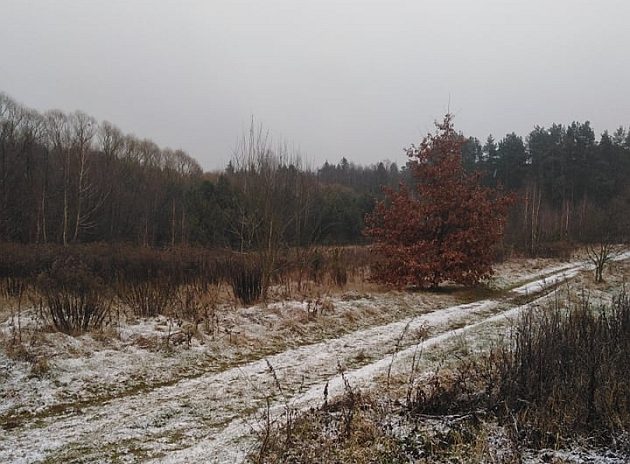 Przepis na szklankę na drogach