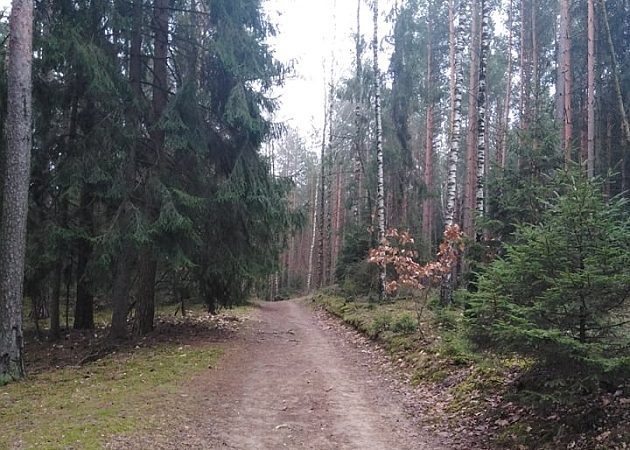 Pochmurnie i wietrzenie. A na termometrach 2 stopnie