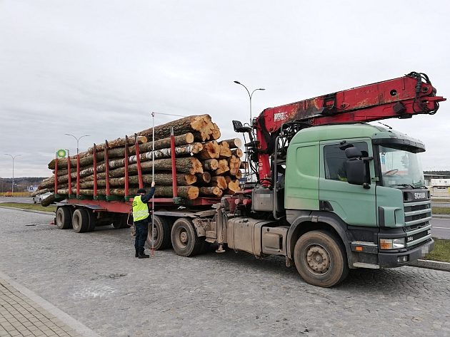  Przeciążona ciężarówka z drewnem dalej nie pojedzie