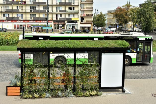 Zagłosuj na zielone przystanki. Miasto zachęca do udziału w plebiscycie