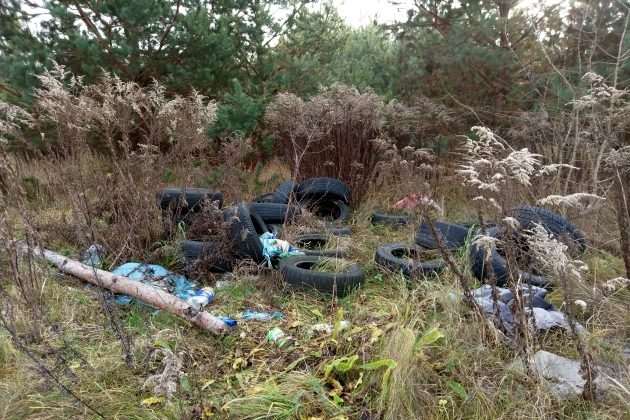 Pojawią się wysypiska w podbiałostockich lasach? Firmy nie mają gdzie składować śmieci