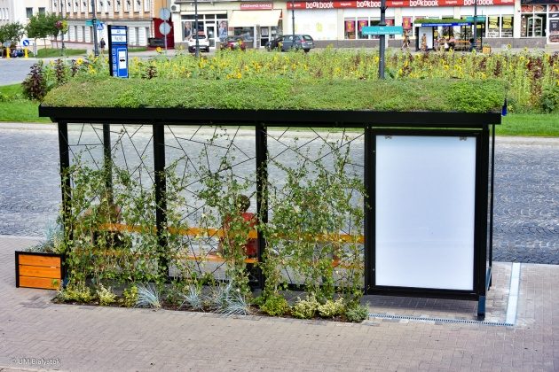 Białostockie zielone przystanki najciekawszą przestrzenią publiczną w Polsce