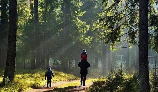 Czy spacer po lesie w czasie epidemii jest bezpieczny?