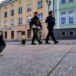 Łamanie "epidemicznych"  zakazów. Sypie się ponad 100 mandatów na dobę