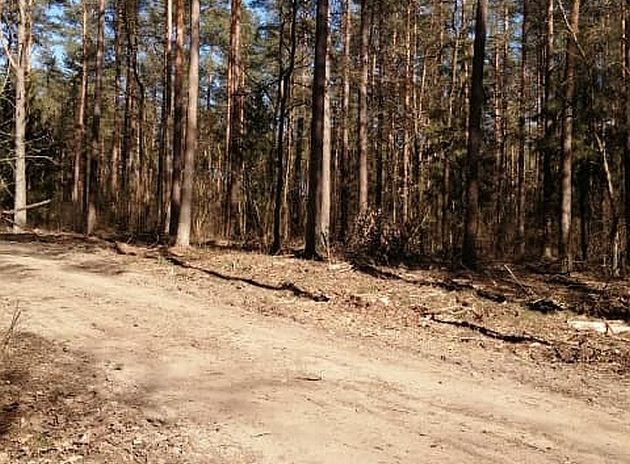 Dużo promieni słońca przez cały dzień