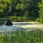 Nie marnuj czasu na kwarantannie i zgłoś się do konkursu szkolnego