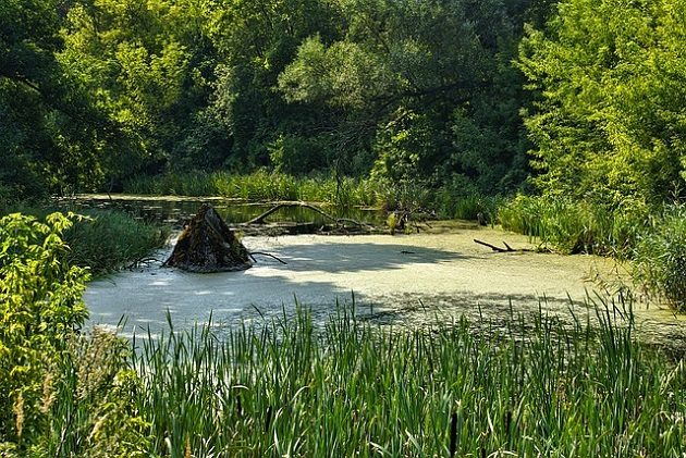 Nie marnuj czasu na kwarantannie i zgłoś się do konkursu szkolnego