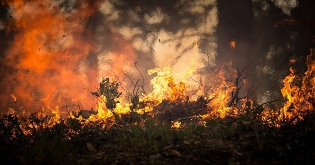 Pożar w Czarnobylu. Czy coś nam zagraża?