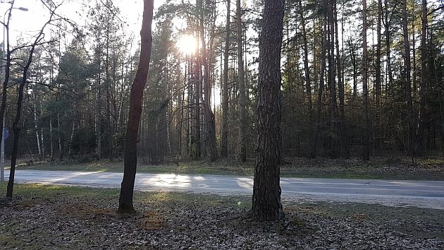 Pogoda na trzeci weekend kwietnia