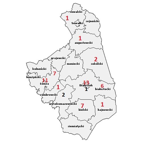 Kto zdrowieje, a kogo pokonał koronawirus? Dane dla Podlaskiego [MAPA, LISTA]