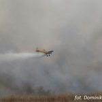 Już 4 samoloty gaszą pożar w Biebrzańskim Parku Narodowym [ZDJĘCIA]
