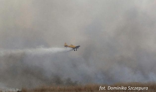 Już 4 samoloty gaszą pożar w Biebrzańskim Parku Narodowym [ZDJĘCIA]