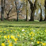 Dzień Ziemi w innym wydaniu niż dotychczas