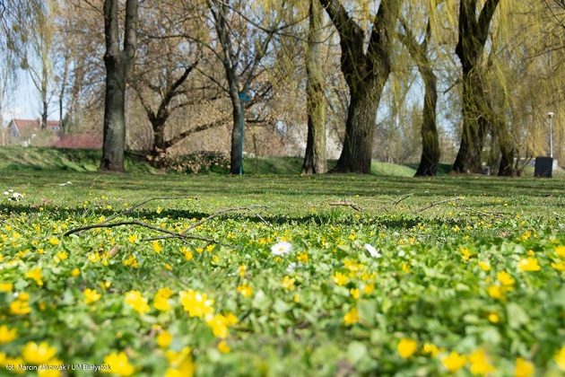 Dzień Ziemi w innym wydaniu niż dotychczas