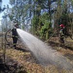 Kolejny pożar lasu. Dostrzegły go dromadery lecące nad Biebrzę