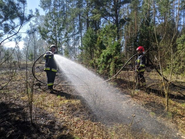 Kolejny pożar lasu. Dostrzegły go dromadery lecące nad Biebrzę