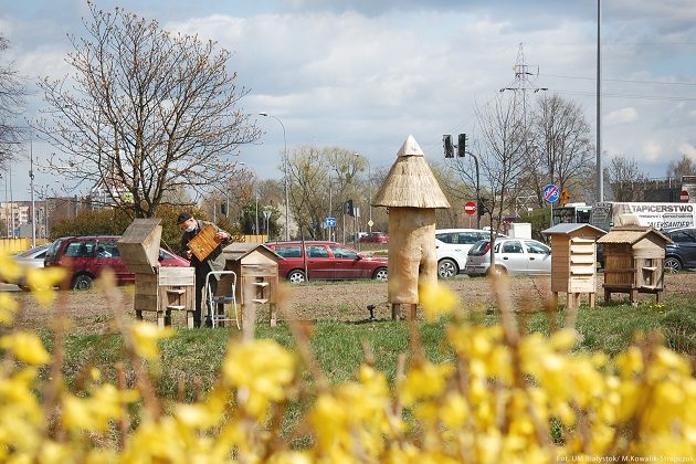 Ochrona pszczół dzięki miejskiej pasiece