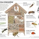 Ratujmy pszczoły przed suszą