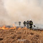 620 tys. dla strażaków walczących z pożarem Biebrzańskiego Parku Narodowego