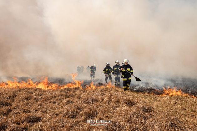 620 tys. dla strażaków walczących z pożarem Biebrzańskiego Parku Narodowego