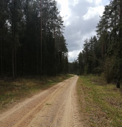 Pojawi się trochę ciemnych chmur. Będą zwiastunem deszczu?