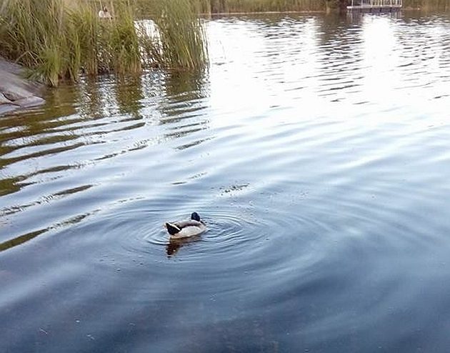 Zbliża się weekend. Maj czuć w powietrzu