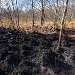 Pożar w Biebrzańskim Parku Narodowym. Podsumowanie zbiórki