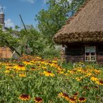 Muzeum Rolnictwa w Ciechanowcu częściowo otwiera się dla turystów