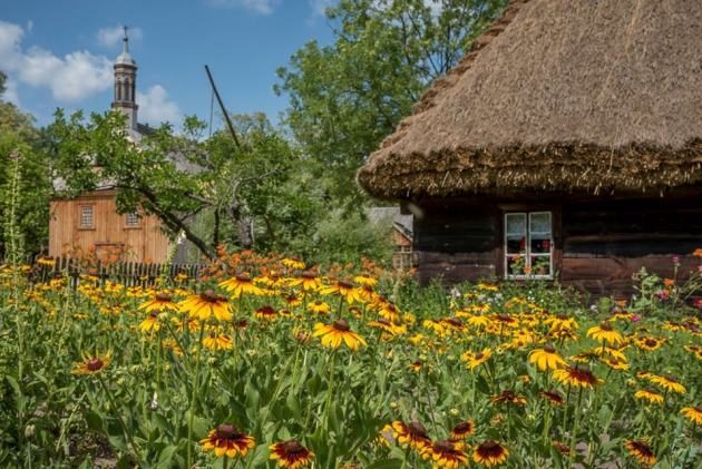 Muzeum Rolnictwa w Ciechanowcu częściowo otwiera się dla turystów