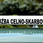 Próbował przemycić szczenięta przez granicę