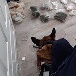 Pluszak z "niespodzianką". Kto wpadł na taki pomysł?